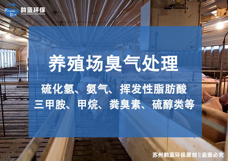 養豬除臭設備有哪些？解決養豬場惡臭的有效方法